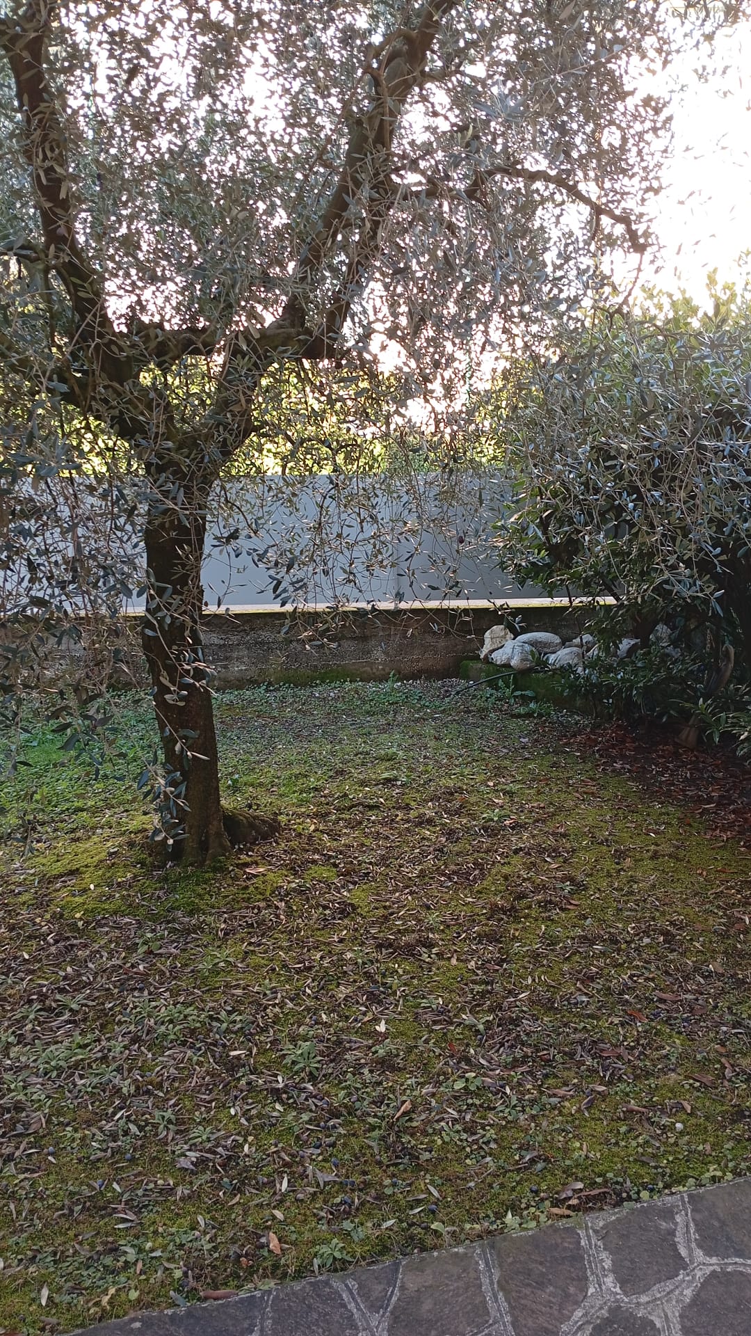 Casa Dolcezza